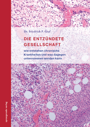 Graf_Die_Entzuendete_Gesellschaft.png