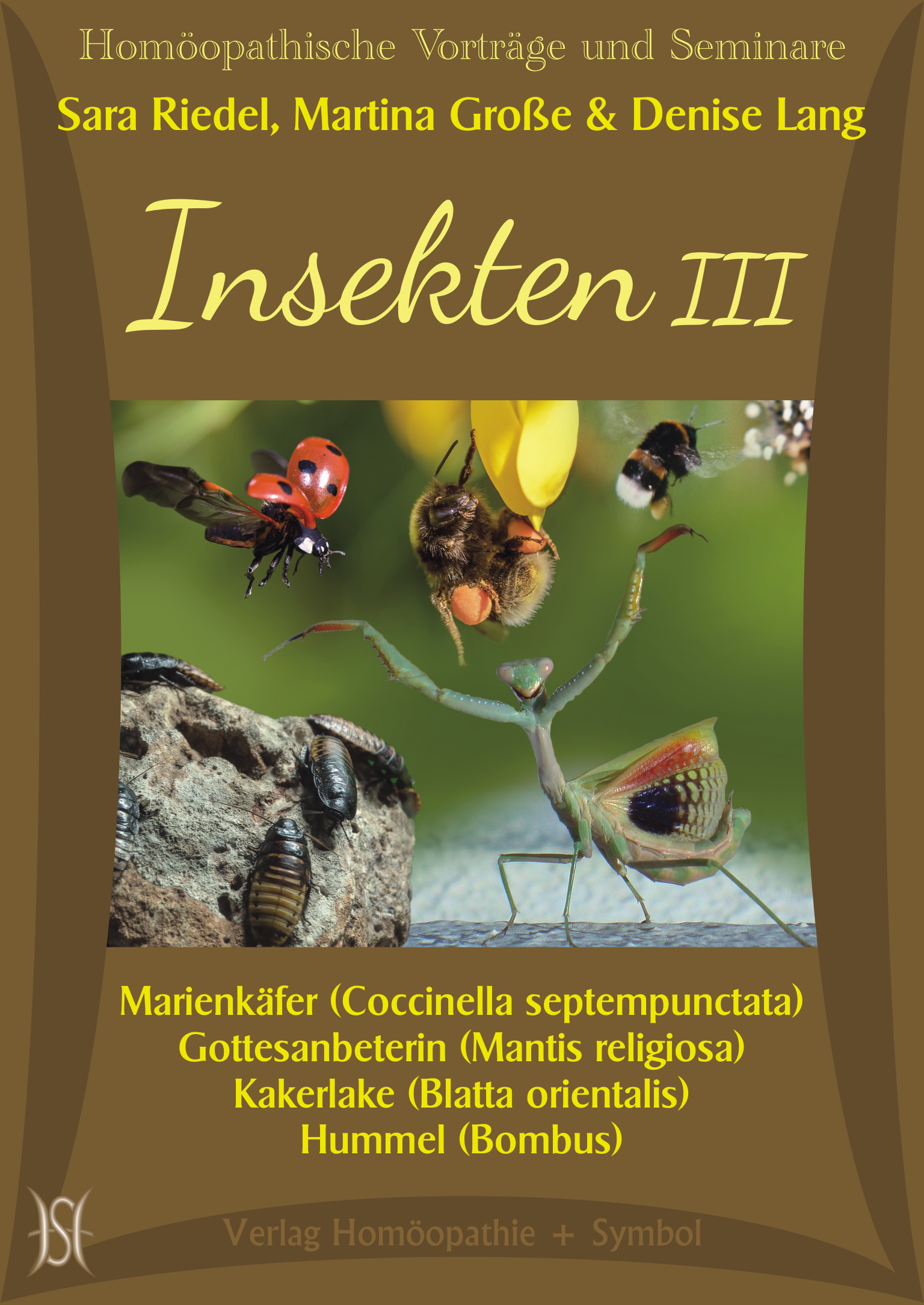 Insekten III. Marienkäfer (Coccinella septempunctata), Gottesanbeterin (Mantis religiosa), Kakerlake (Blatta orientalis) und Hummel (Bombus)