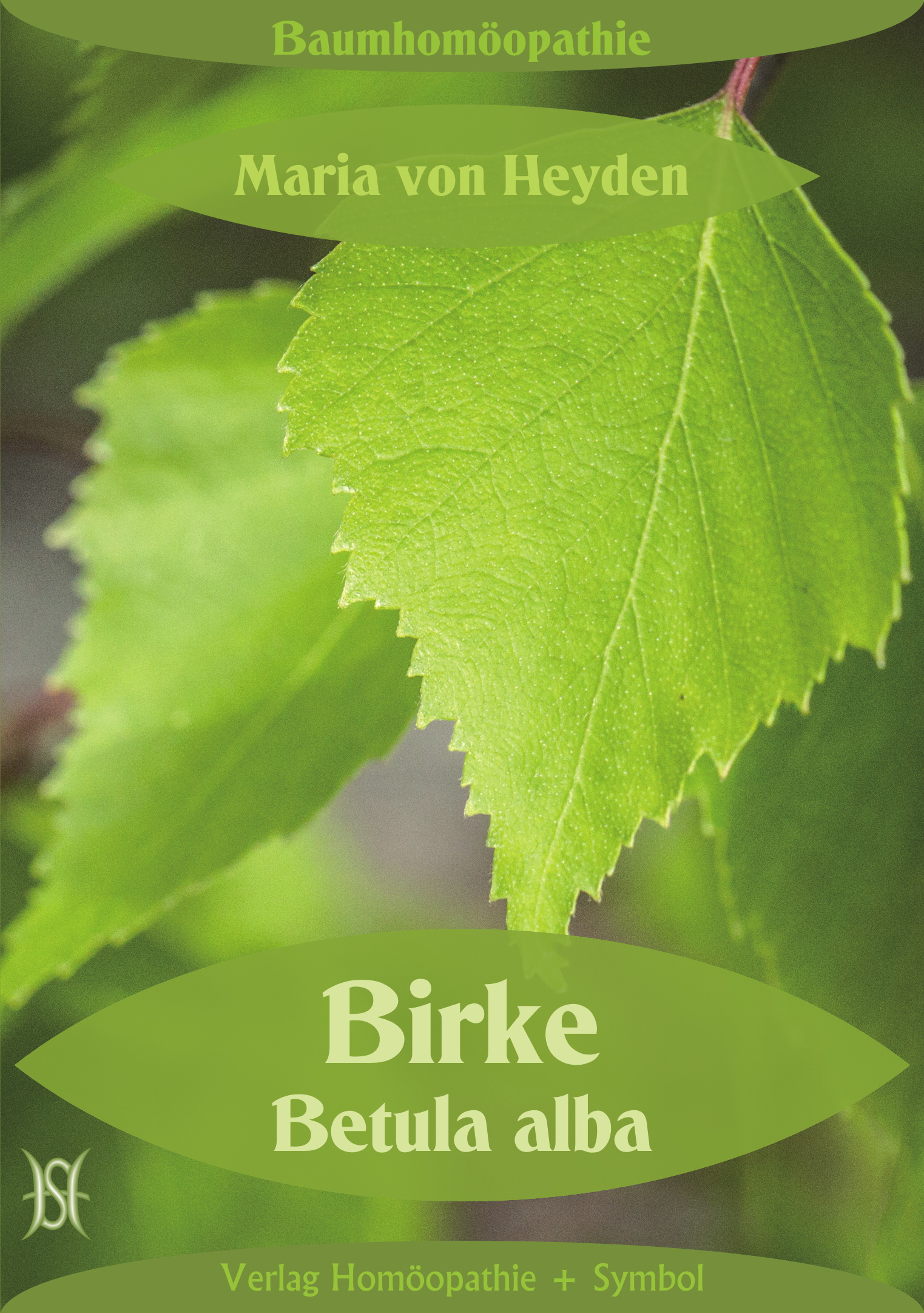 Birke. Betula alba. Der homöopathische Weg der Bäume.