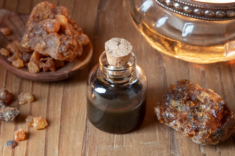 Myrrhe (Commiphora molmol). Ein königliches Geschenk. Heilpflanzenporträt 18