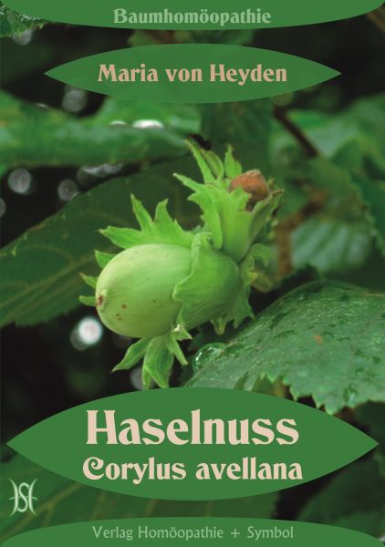 Haselnuss. Corylus avellana. Der homöopathische Weg der Bäume