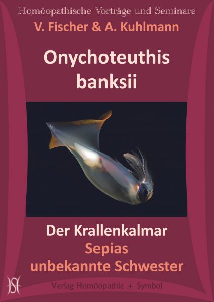 Onychoteuthis banksii. Der Krallenkalmar. Sepias unbekannte Schwester