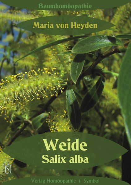 Weide. Salix alba. Der homöopathische Weg der Bäume