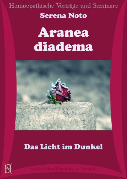 Aranea diadema. Das Licht im Dunkel