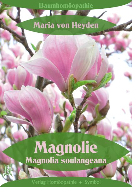 Magnolie. Magnolia soulangeana. Der homöopathische Weg der Bäume