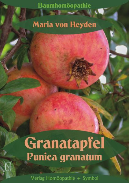 Granatapfel. Punica granatum. Der homöopathische Weg der Bäume