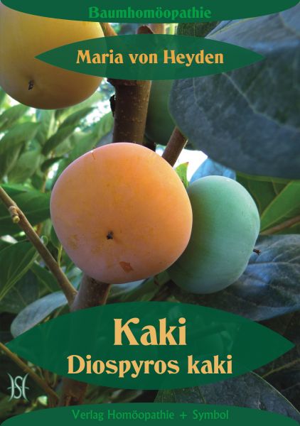 Kaki. Diospyros kaki. Der homöopathische Weg der Bäume