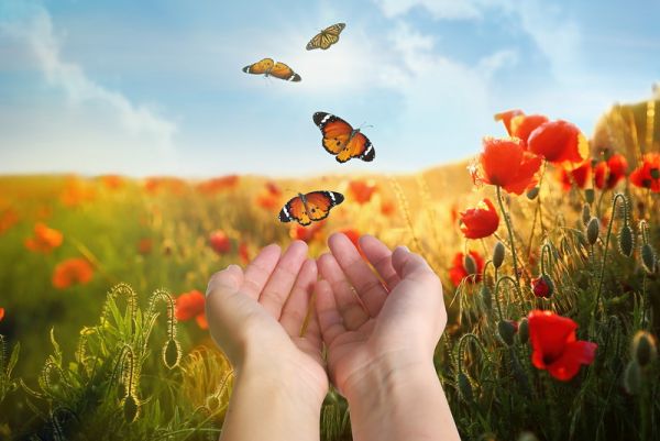 Erdgebundene Seelen. Über den schamanisch-therapeutischen Umgang mit Besetzungen