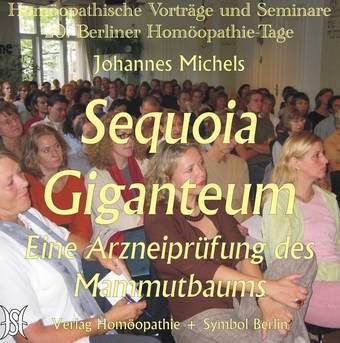 Mammutbaum - Sequoia Giganteum AMP