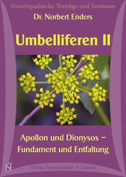 Umbelliferen II - Apollon und Dionysos - Fundament und Entfaltung