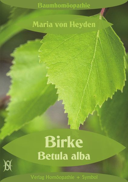 Birke. Betula alba. Der homöopathische Weg der Bäume.