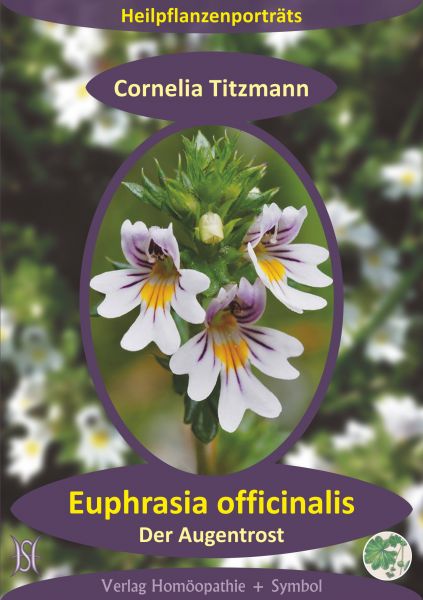 Euphrasia officinalis - Der Augentrost. Heilpflanzenporträt 1