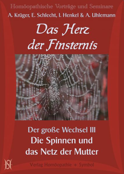 Das Herz der Finsternis. Die Spinnen und das Netz der Mutter (Der große Wechsel III)