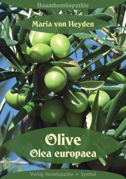 Olive. Olea europaea. Der homöopathische Weg der Bäume